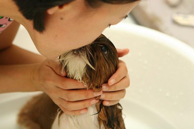 Soft clay inspired reporting board for pet grooming program results